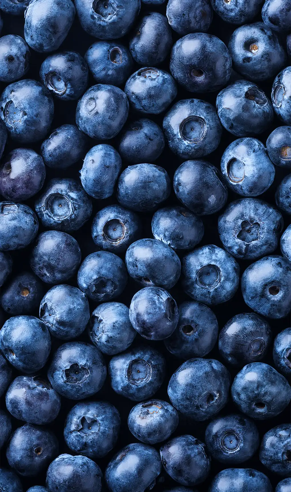 Blueberry Protein Muffin Mix Cup