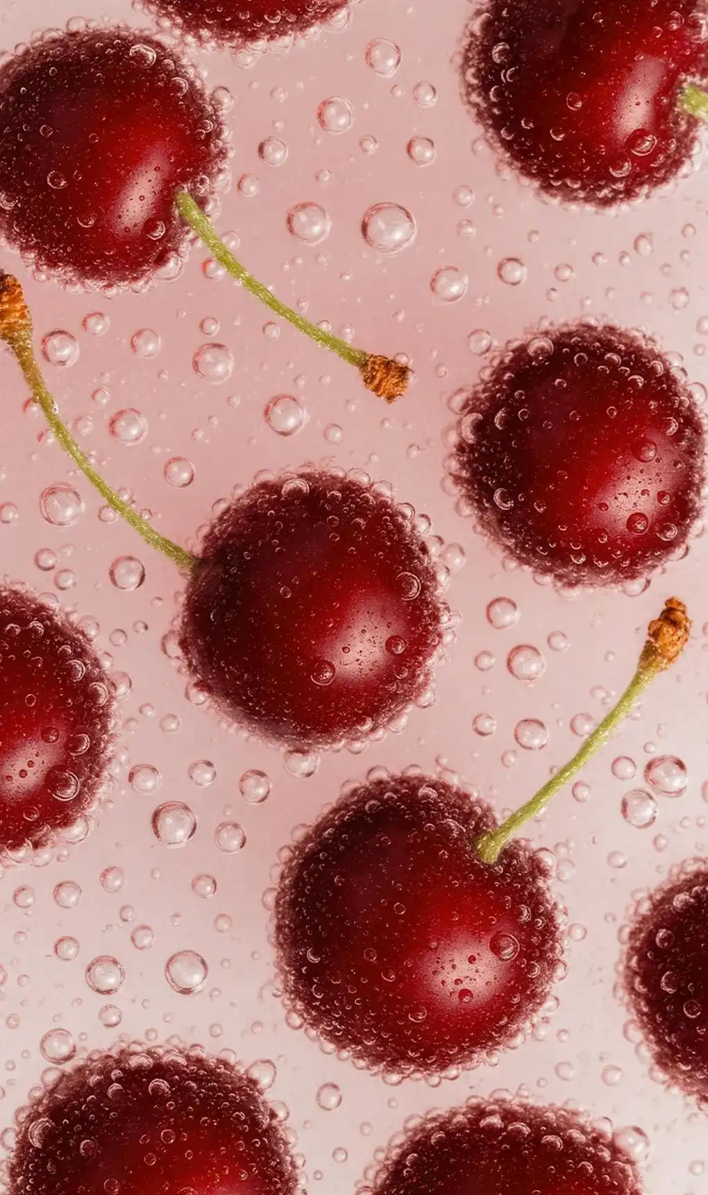 Black Cherry Sparkling Protein Soda